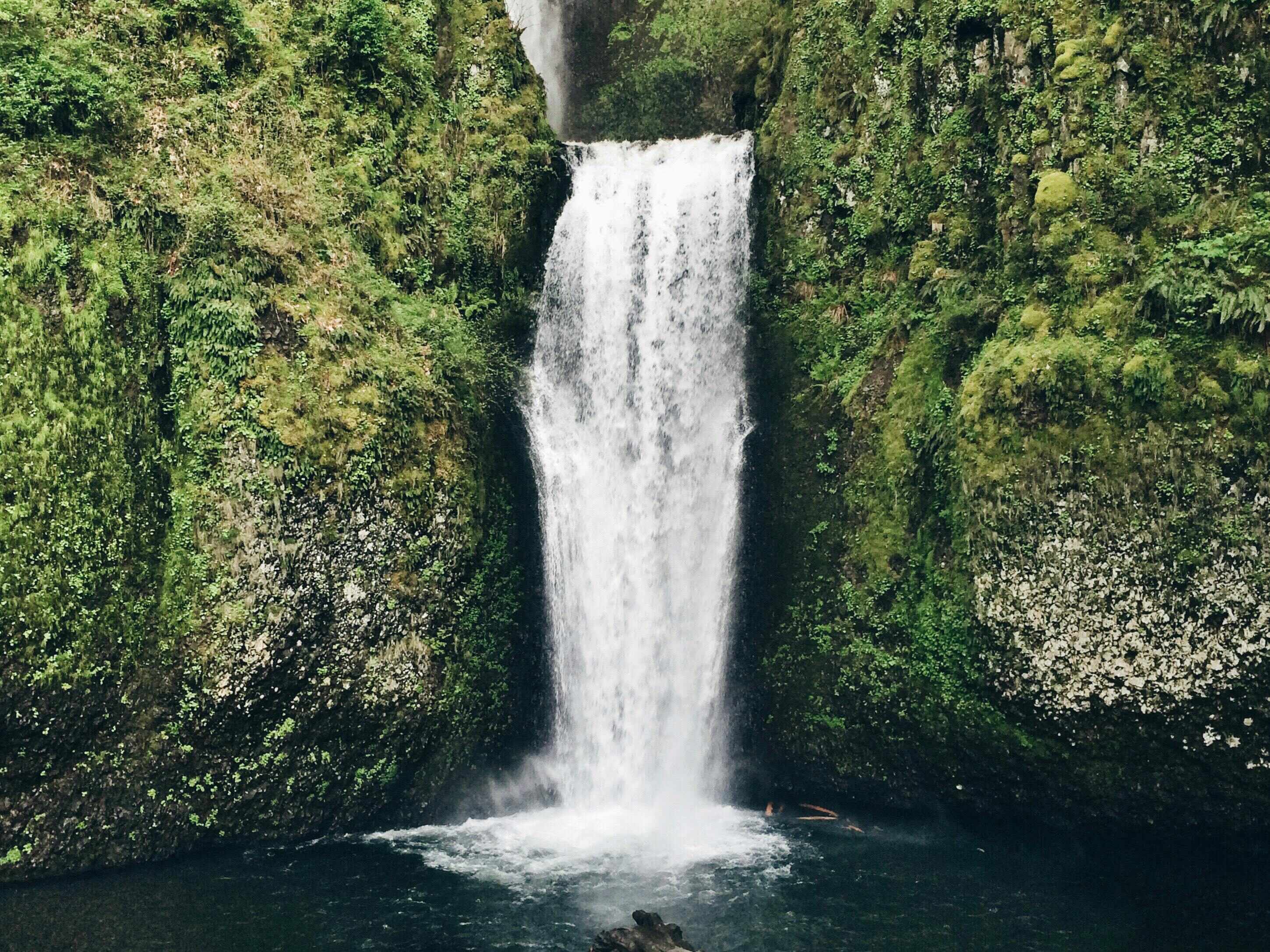 Landscape photography of waterfall in lush forest
